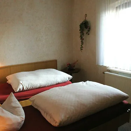 Landgasthof Zum Ring Han/Misafirhane 3*