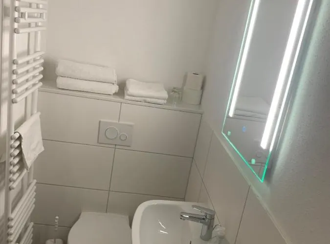 Landgasthof Zum Ring Мини-отель 3*