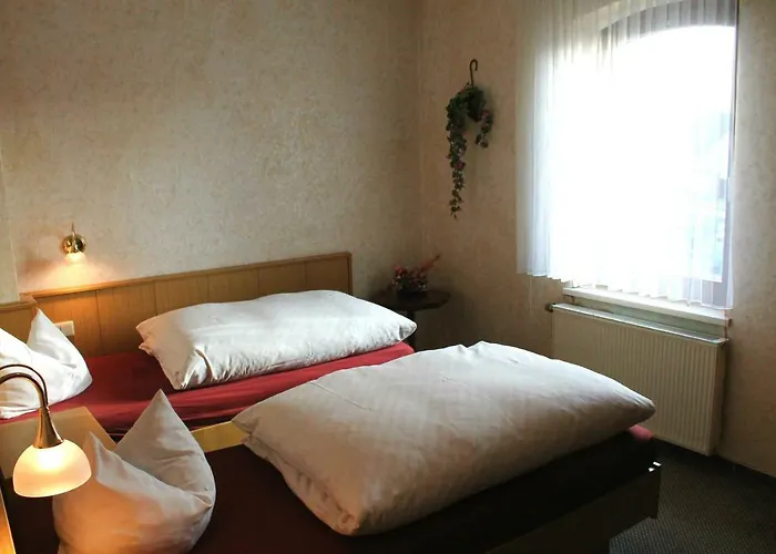 Landgasthof Zum Ring Мини-отель 3*